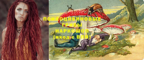 дмт Алзамай