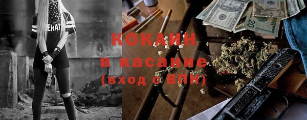дмт Алзамай