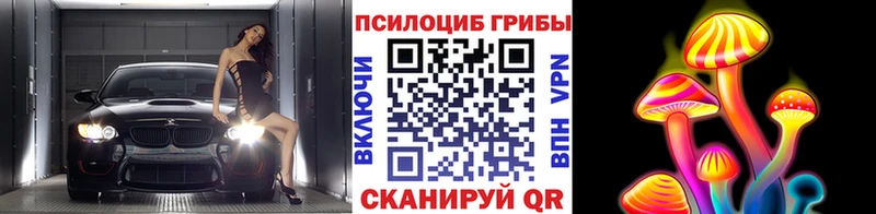 где можно купить наркотик Верхоянск Галлюциногенные грибы MAGIC MUSHROOMS