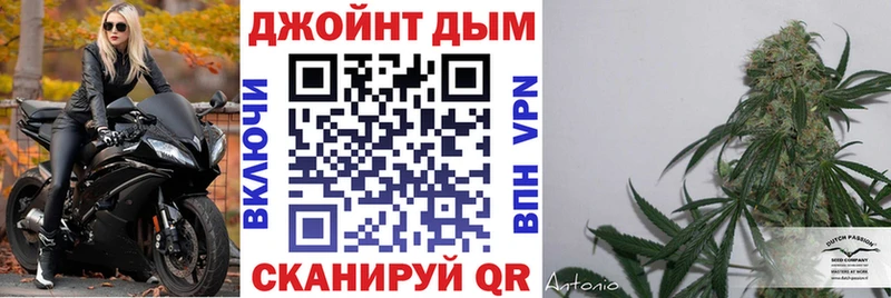 Конопля планчик  где можно купить   Верхоянск 
